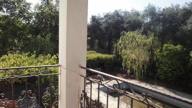 Hotel in Achilleio, Corfu — Photo 27 of 28