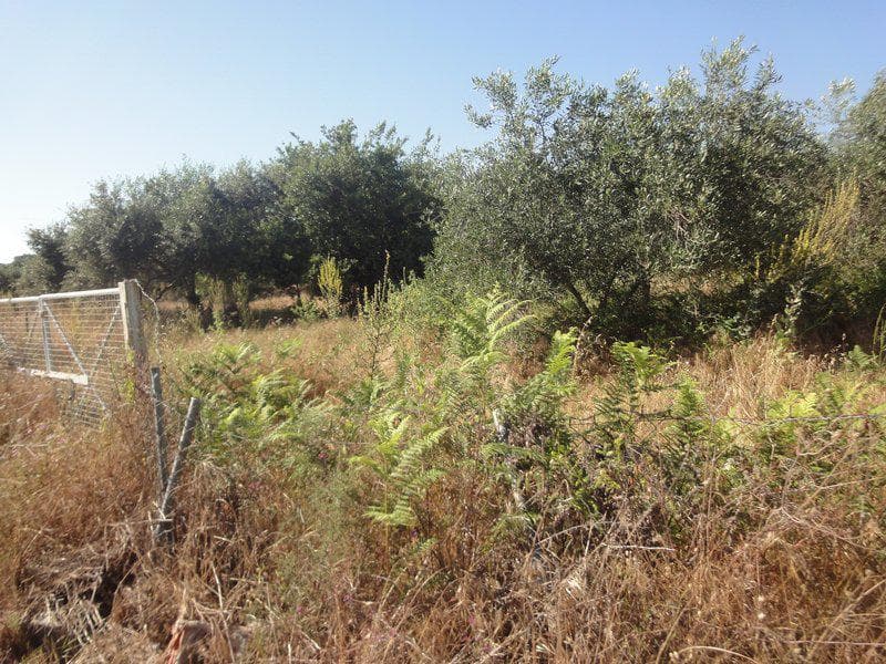 Οικόπεδο στην Μελιτειέοι, Κέρκυρα — Φωτογραφία 2 από 20