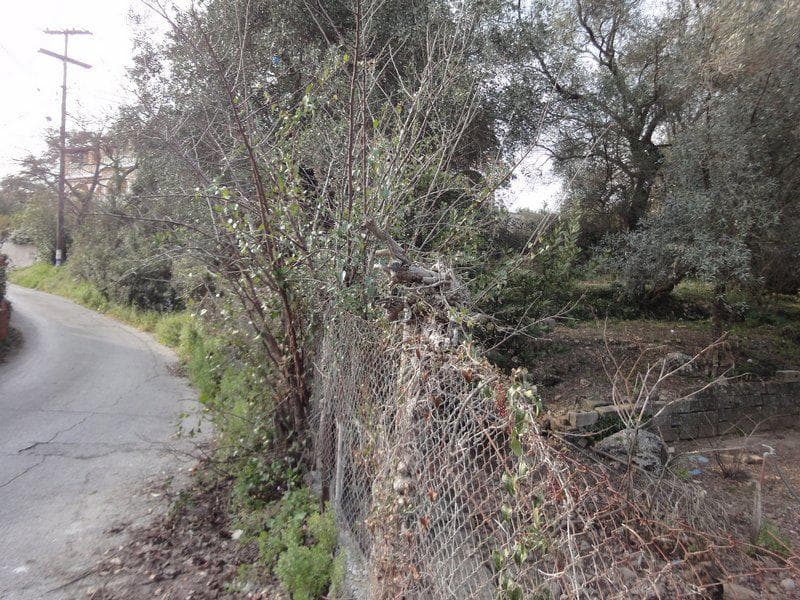 Οικόπεδο στην Αχίλλειο, Κέρκυρα — Φωτογραφία 8 από 8