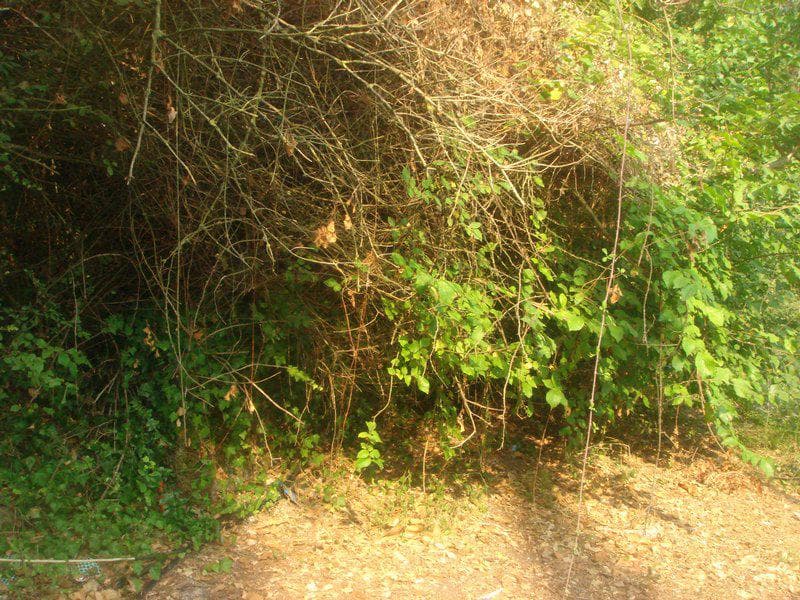 Building Plot in Pareli, Corfu — Photo 4 of 8