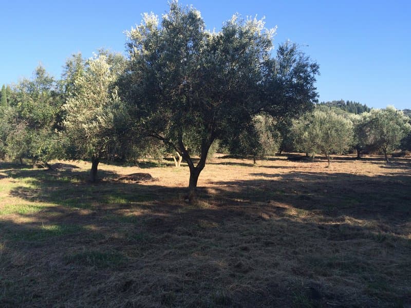 Οικόπεδο στην Άγιος Γεώργιος, Κέρκυρα — Φωτογραφία 23 από 23