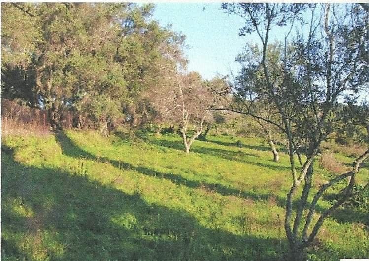 Οικόπεδο στην Μελιτειέοι, Κέρκυρα — Φωτογραφία 2 από 6