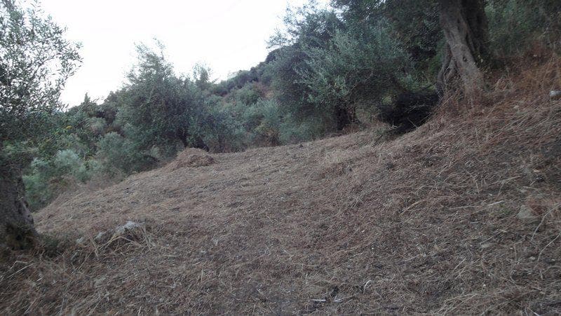 Οικόπεδο στην Αχίλλειο, Κέρκυρα — Φωτογραφία 6 από 10