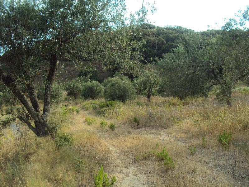 Οικόπεδο στην Βασιλάτικα, Κέρκυρα — Φωτογραφία 15 από 30