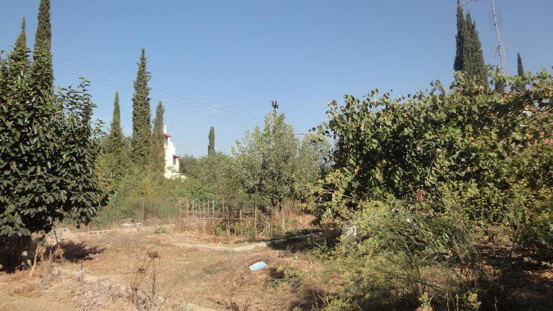 Hotel in Achilleio, Corfu — Photo 17 of 28