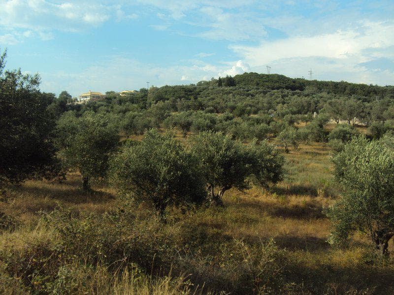 Οικόπεδο στην Βασιλάτικα, Κέρκυρα — Φωτογραφία 18 από 30
