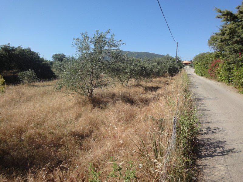Οικόπεδο στην Μελιτειέοι, Κέρκυρα — Φωτογραφία 5 από 20