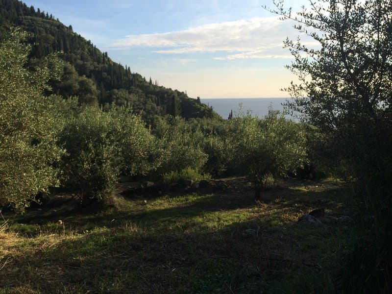 Οικόπεδο στην Αχίλλειο, Κέρκυρα — Φωτογραφία 20 από 26