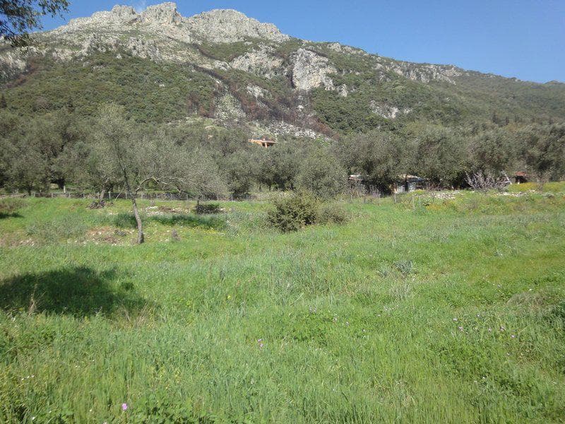 Building Plot in Faiakes, Corfu — Photo 2 of 26