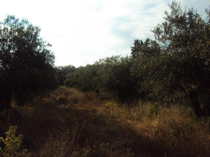 Οικόπεδο στην Βασιλάτικα, Κέρκυρα — Φωτογραφία 22 από 30