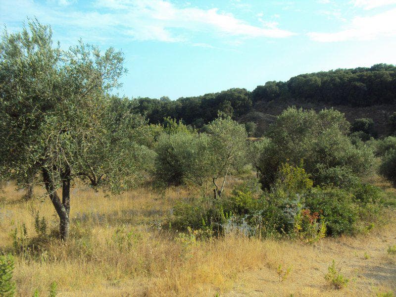 Οικόπεδο στην Βασιλάτικα, Κέρκυρα — Φωτογραφία 23 από 30