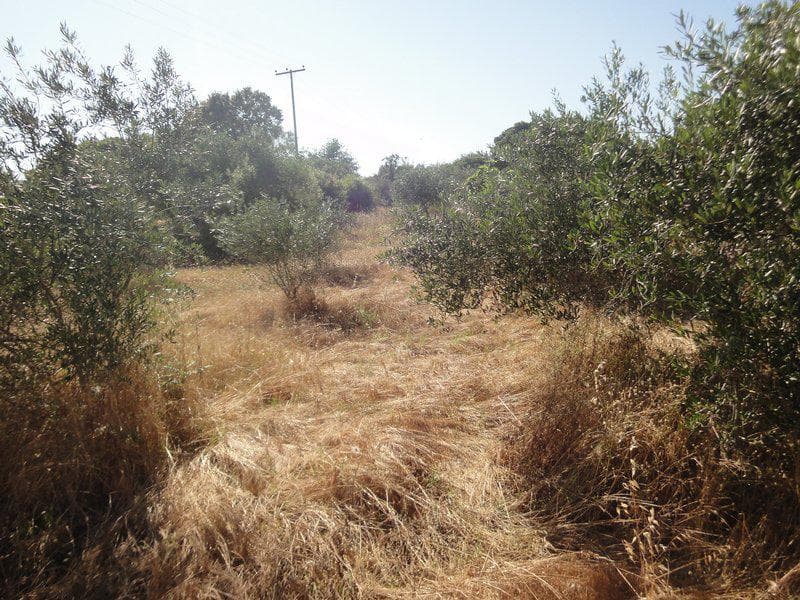 Οικόπεδο στην Μελιτειέοι, Κέρκυρα — Φωτογραφία 11 από 20