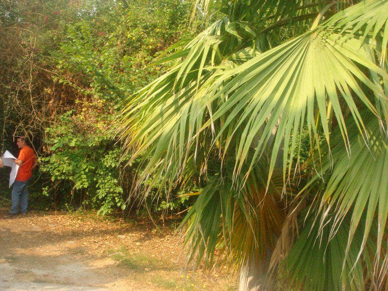 Building Plot in Pareli, Corfu — Photo 8 of 8