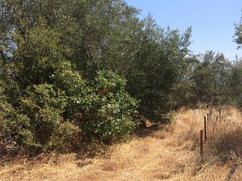 Οικόπεδο στην Φαίακες, Κέρκυρα — Φωτογραφία 6 από 10