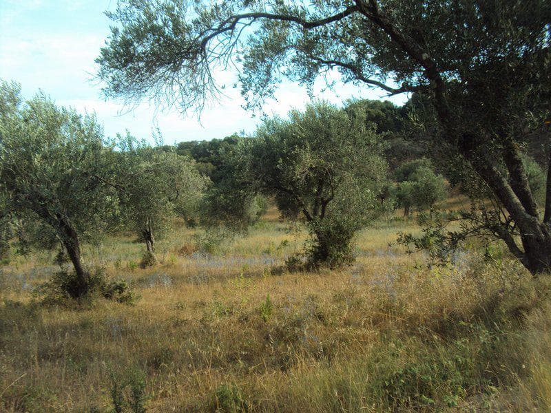 Οικόπεδο στην Βασιλάτικα, Κέρκυρα — Φωτογραφία 26 από 30