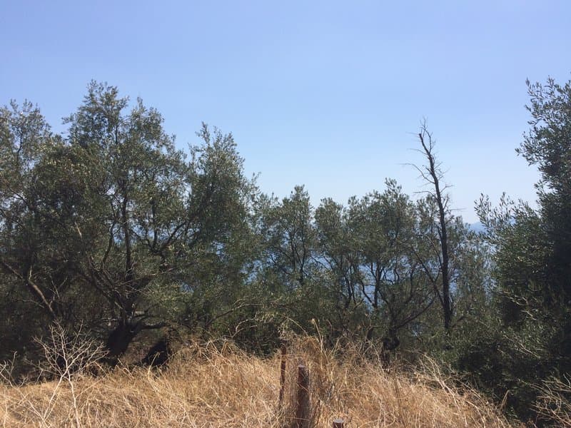 Οικόπεδο στην Φαίακες, Κέρκυρα — Φωτογραφία 3 από 10