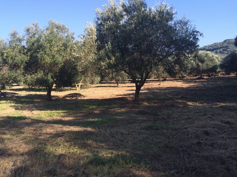 Οικόπεδο στην Άγιος Γεώργιος, Κέρκυρα — Φωτογραφία 17 από 23