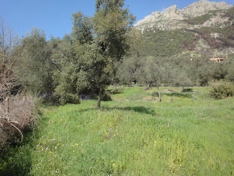 Building Plot in Faiakes, Corfu — Photo 6 of 26