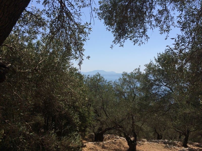 Οικόπεδο στην Φαίακες, Κέρκυρα — Φωτογραφία 2 από 10
