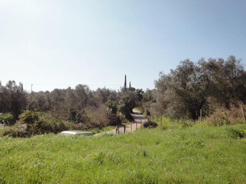 Building Plot in Faiakes, Corfu — Photo 7 of 26