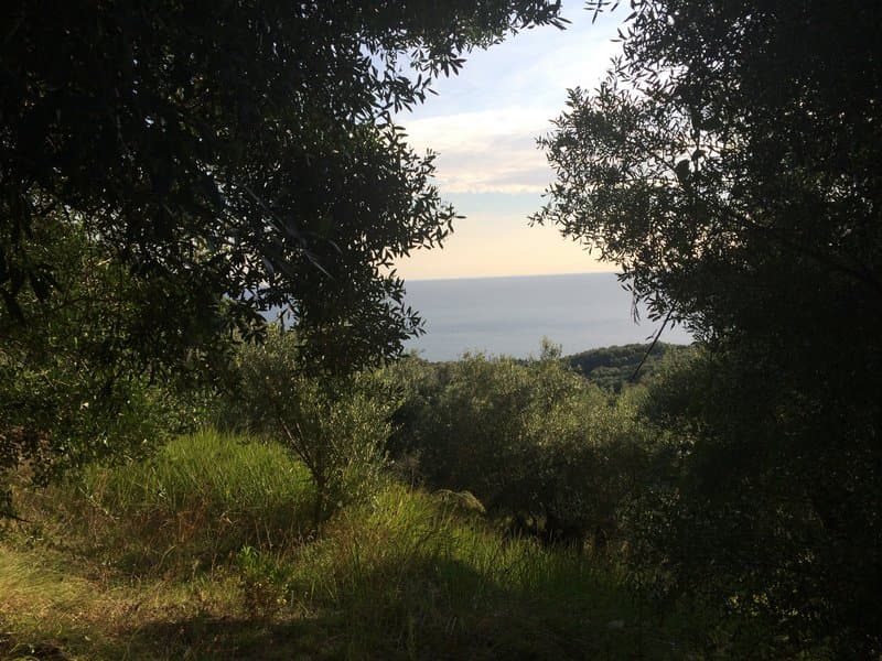 Οικόπεδο στην Αχίλλειο, Κέρκυρα — Φωτογραφία 7 από 26