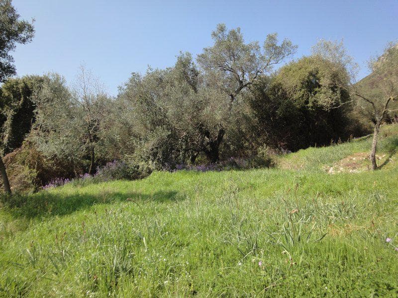 Building Plot in Faiakes, Corfu — Photo 10 of 26
