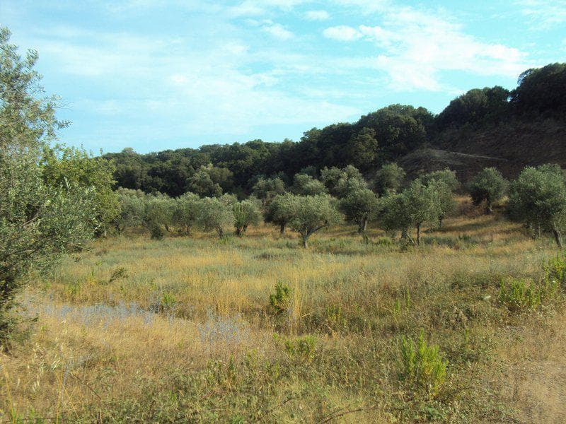 Οικόπεδο στην Βασιλάτικα, Κέρκυρα — Φωτογραφία 28 από 30
