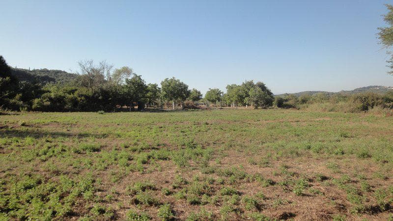 Building Plot in Αgios Georgios, Corfu — Photo 6 of 7