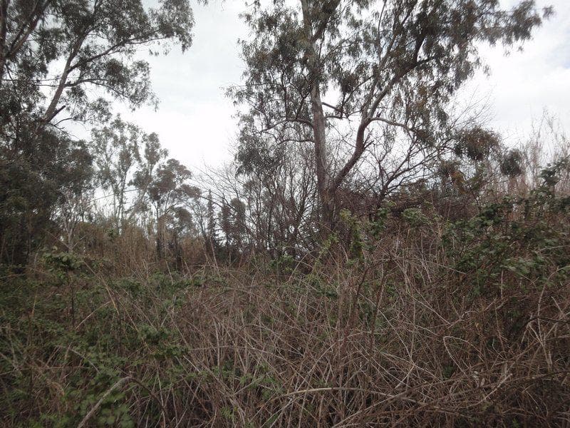 Οικόπεδο στην Παρέλι, Κέρκυρα — Φωτογραφία 16 από 30
