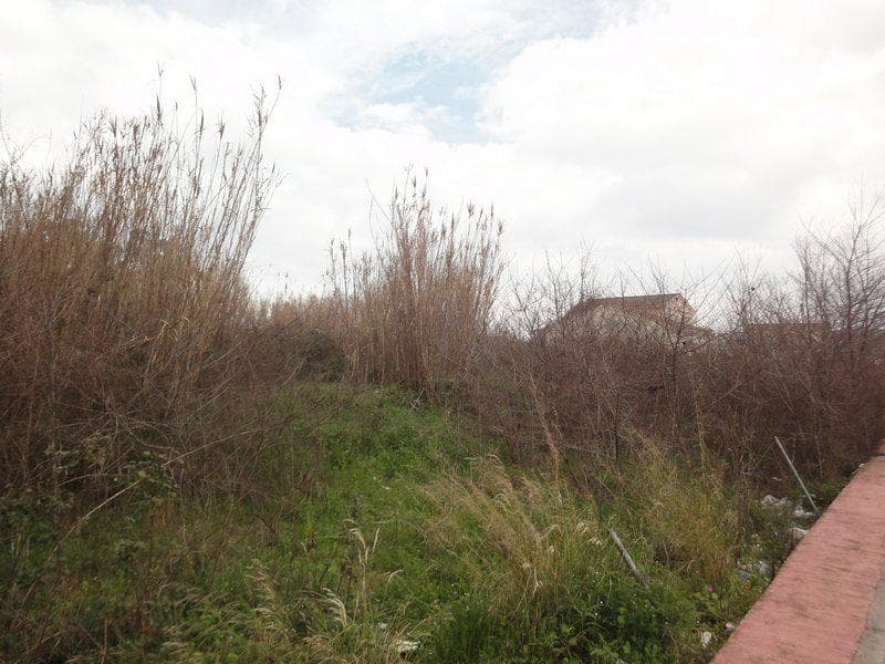 Οικόπεδο στην Παρέλι, Κέρκυρα — Φωτογραφία 17 από 30