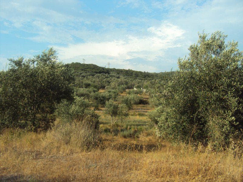 Οικόπεδο στην Βασιλάτικα, Κέρκυρα — Φωτογραφία 12 από 30