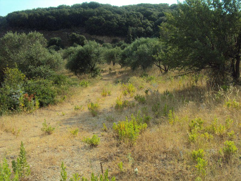 Οικόπεδο στην Βασιλάτικα, Κέρκυρα — Φωτογραφία 29 από 30