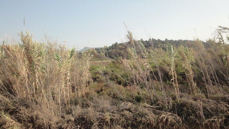 Οικόπεδο στην Άγιος Γεώργιος, Κέρκυρα — Φωτογραφία 9 από 9