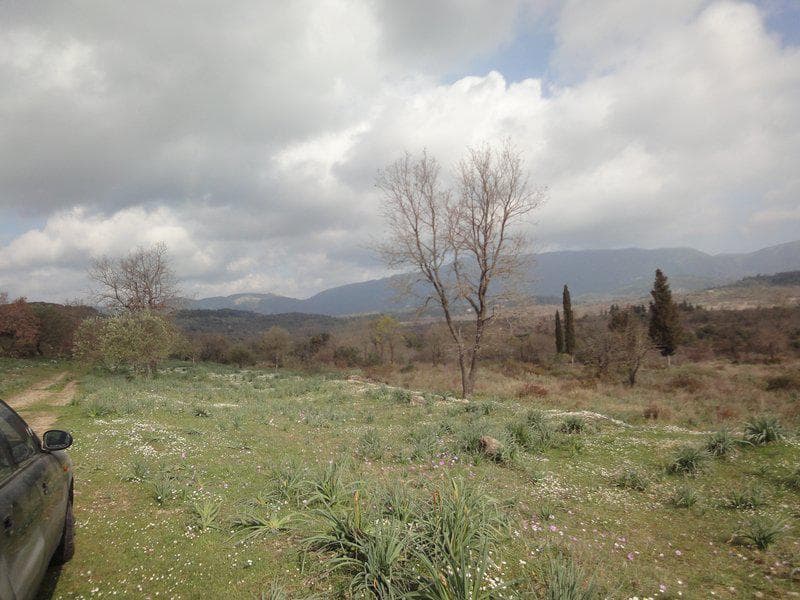 Οικόπεδο στην Παλαιοκαστρίτσα, Κέρκυρα — Φωτογραφία 13 από 23