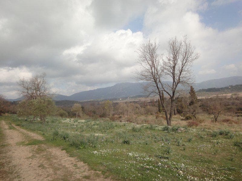 Οικόπεδο στην Παλαιοκαστρίτσα, Κέρκυρα — Φωτογραφία 12 από 23