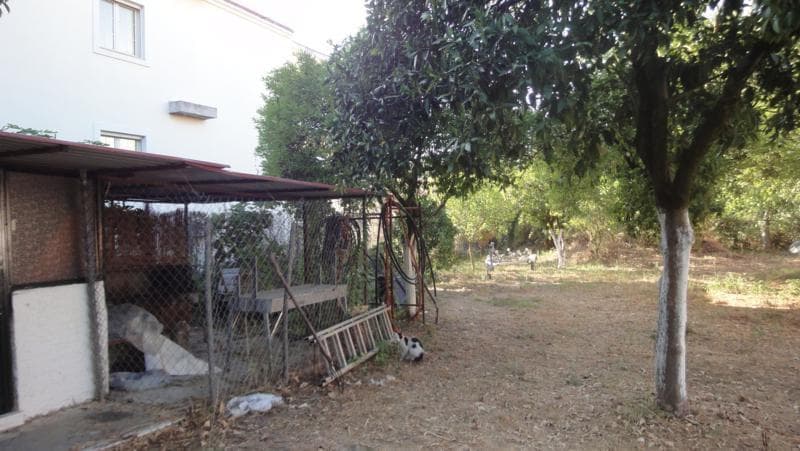 Οικόπεδο στην Αχίλλειο, Κέρκυρα — Φωτογραφία 2 από 6