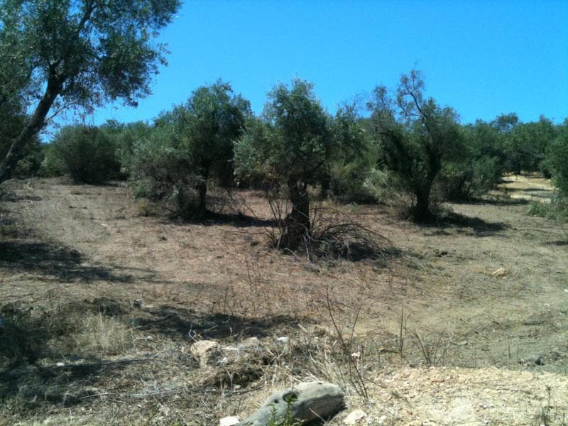 Οικόπεδο στην Κασσιόπη, Κέρκυρα — Φωτογραφία 2 από 7