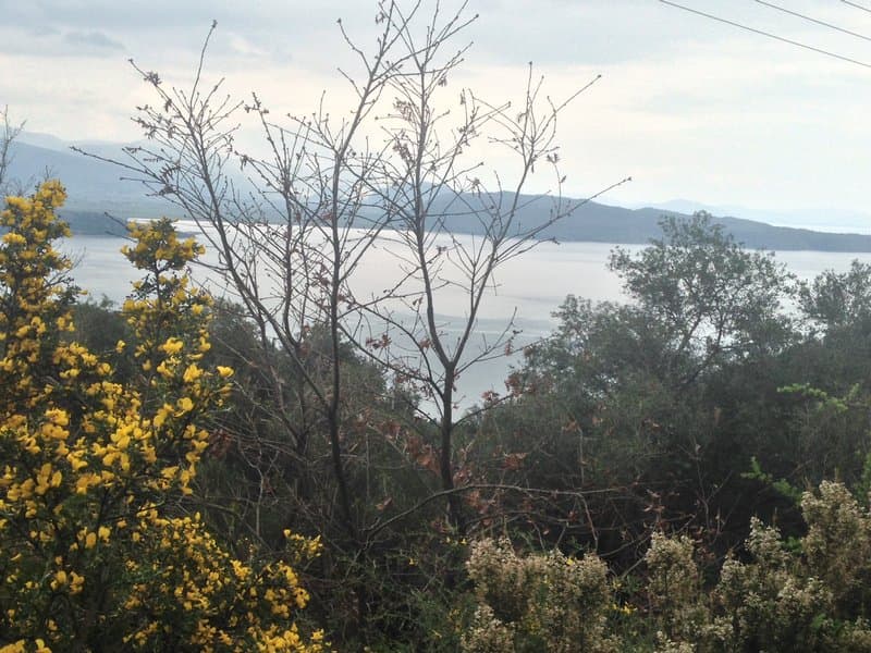 Building Plot in Kassiopi, Corfu — Photo 19 of 28