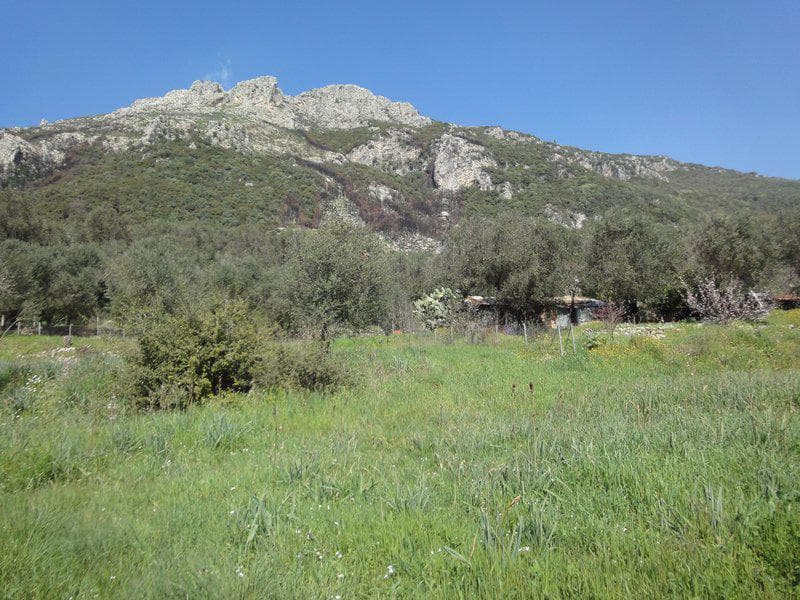 Building Plot in Faiakes, Corfu — Photo 15 of 26