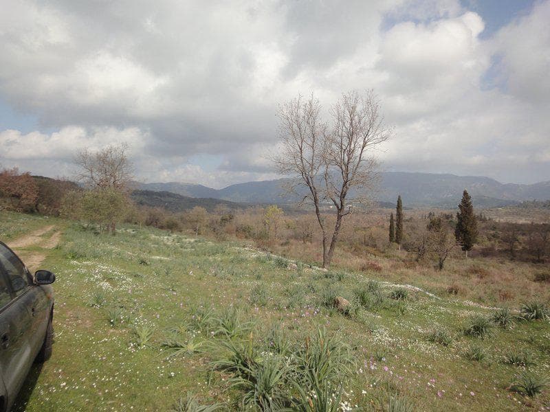 Οικόπεδο στην Παλαιοκαστρίτσα, Κέρκυρα — Φωτογραφία 14 από 23