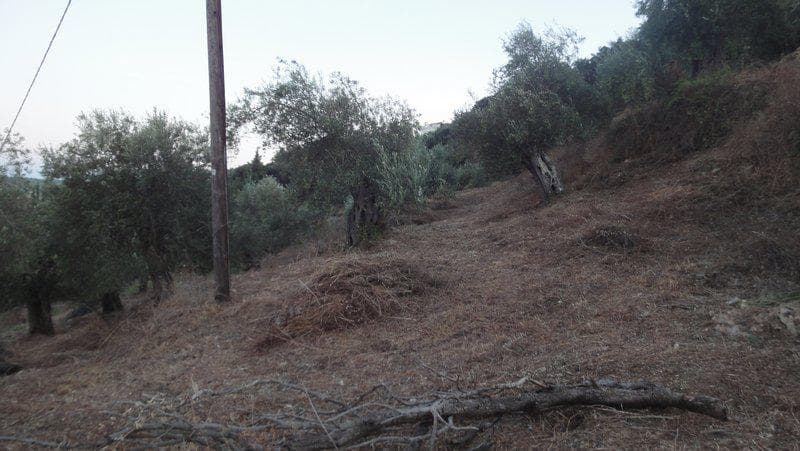 Οικόπεδο στην Αχίλλειο, Κέρκυρα — Φωτογραφία 10 από 10