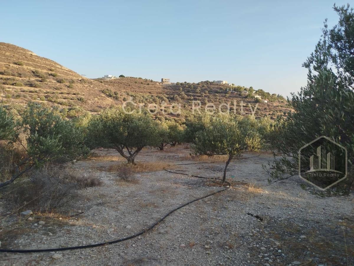 Οικόπεδο στην Νέο Καλαμάκι, Τυμπάκι — Φωτογραφία 6 από 12