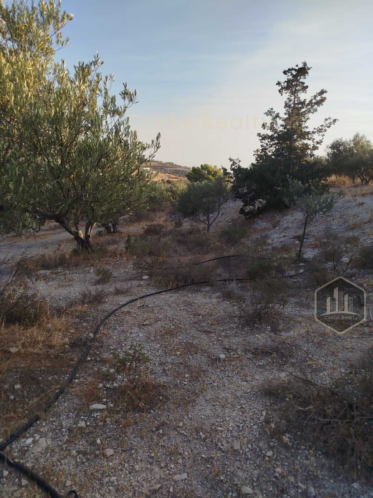 Οικόπεδο στην Νέο Καλαμάκι, Τυμπάκι — Φωτογραφία 7 από 12