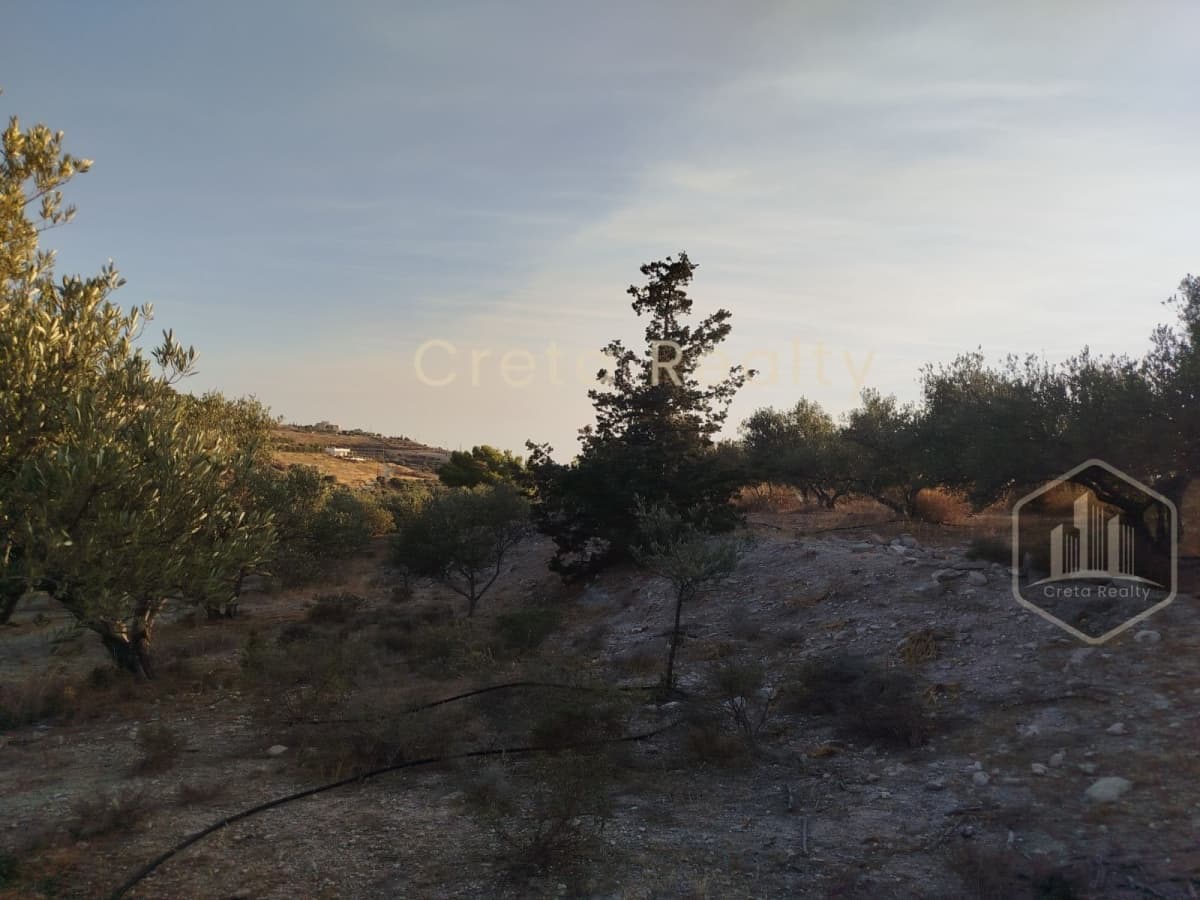 Οικόπεδο στην Νέο Καλαμάκι, Τυμπάκι — Φωτογραφία 8 από 12