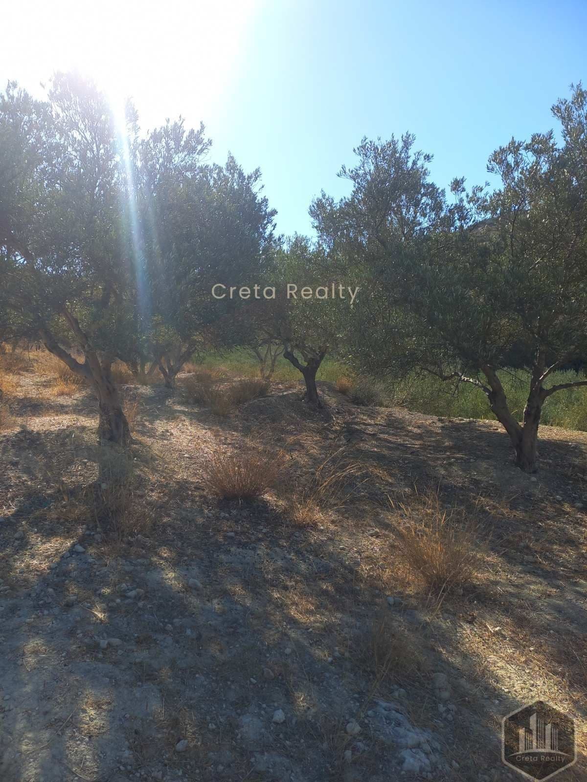Building Plot in Skopela, Episkopi — Photo 10 of 14