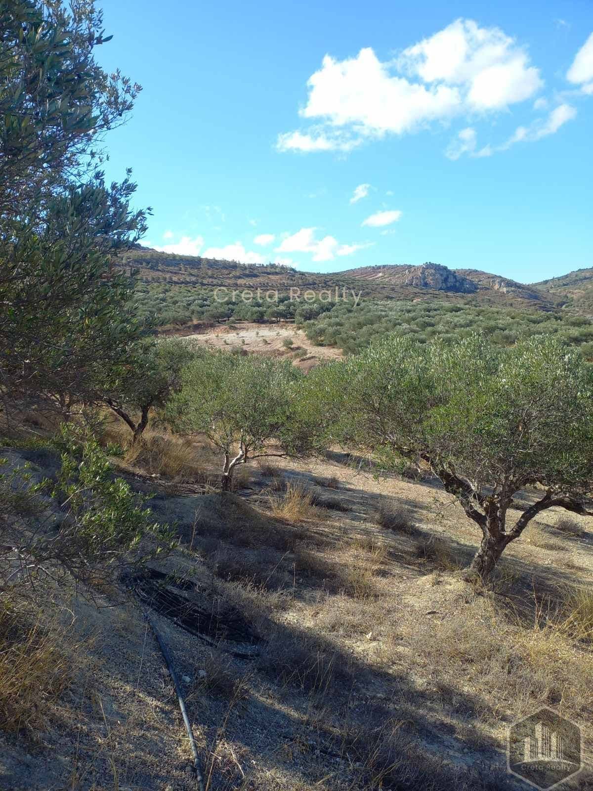 Building Plot in Skopela, Episkopi — Photo 11 of 14