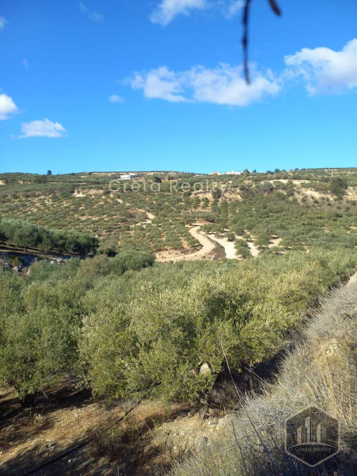 Building Plot in Skopela, Episkopi — Photo 12 of 14