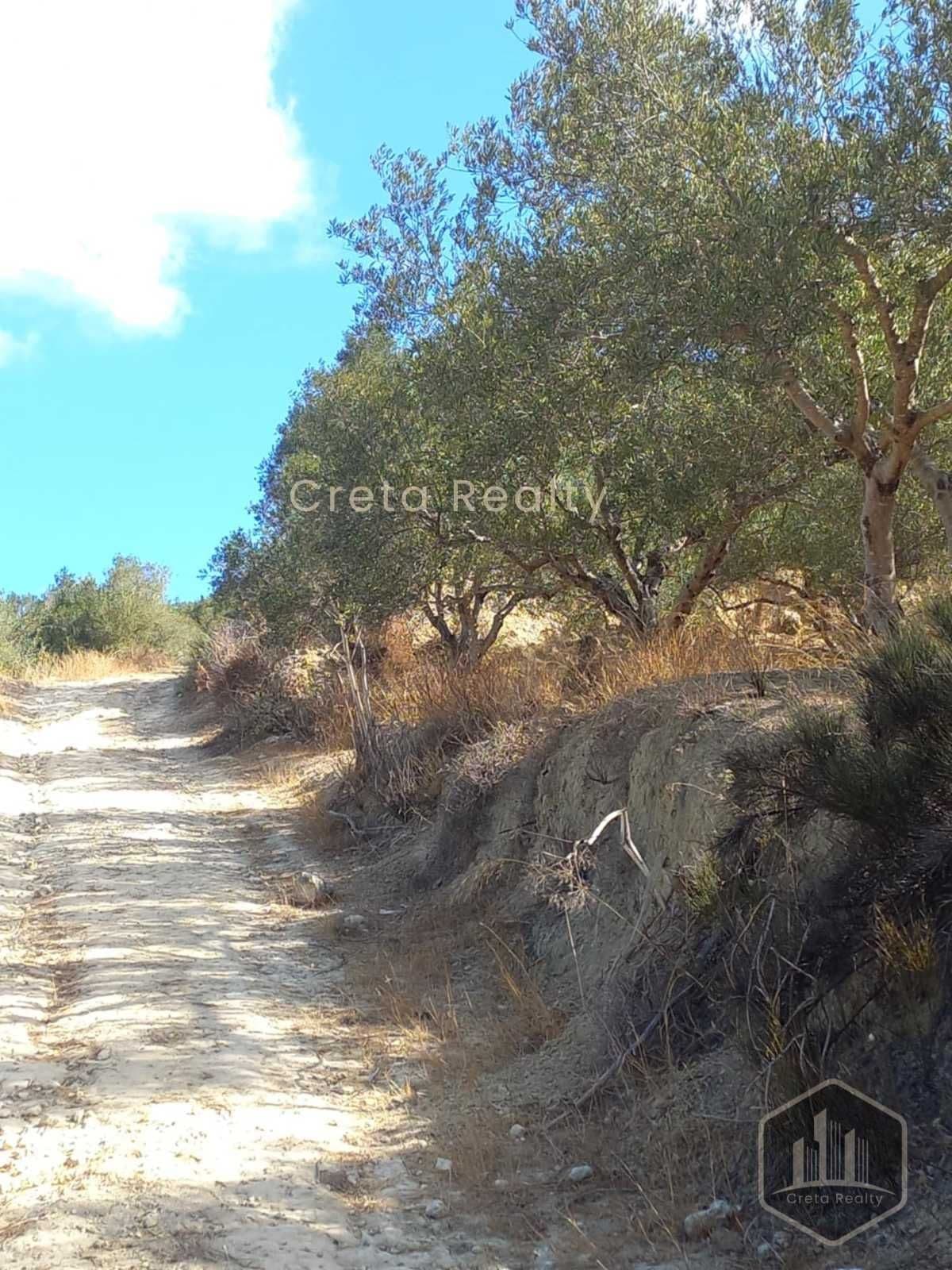 Building Plot in Skopela, Episkopi — Photo 13 of 14