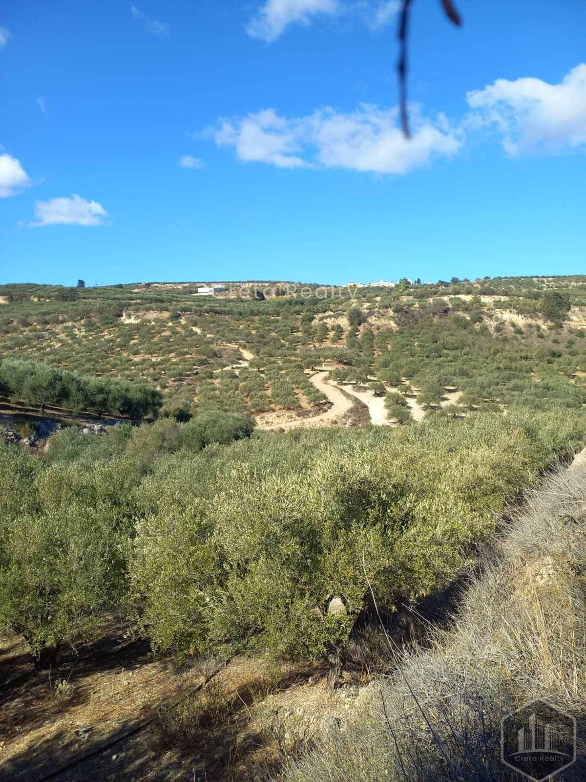 Building Plot in Skopela, Episkopi — Photo 7 of 14