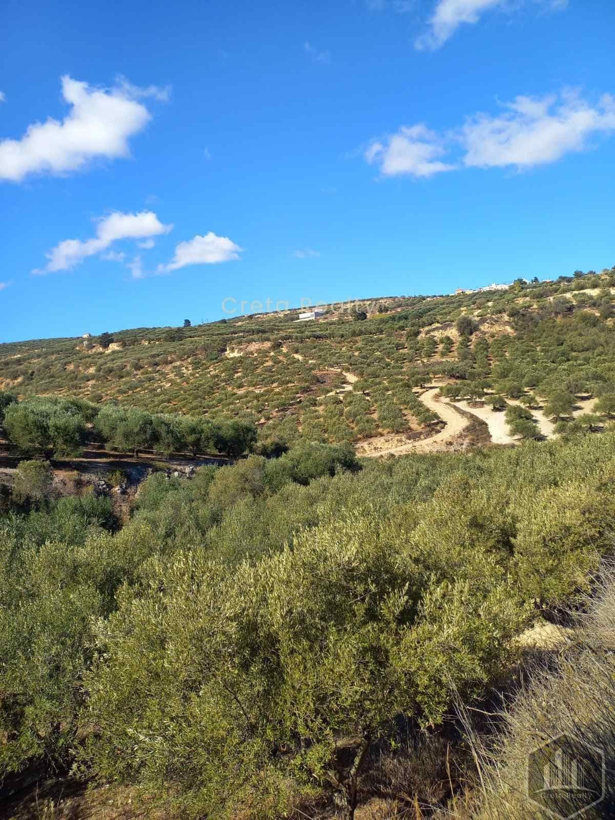 Building Plot in Skopela, Episkopi — Photo 8 of 14